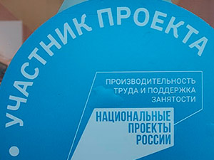 Реализация национальных проектов